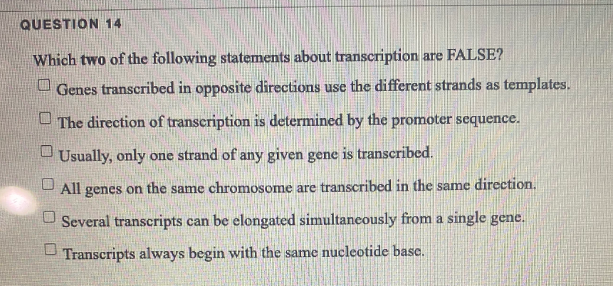 QUESTION 14
Which two of the following statements about transcription are FALSE?
口
Genes transcribed in opposite directions use the different strands as templates.
The direction of transcription is determined by the promoter sequence.
Usually, only one strand of any given gene is transcribed.
- All genes on the same chromosome are transcribed in the same direction.
Several transcripts can be elongated simultaneously from a single gene.
Transcripts always begin with the same nucleotide base.

