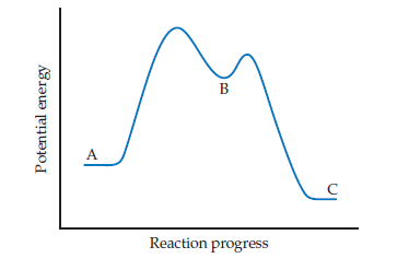B
Reaction progress
Potential energy
