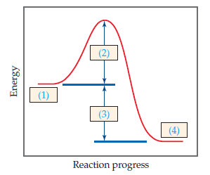 (2)
(1)
(3)
(4)
Reaction progress
Energy
