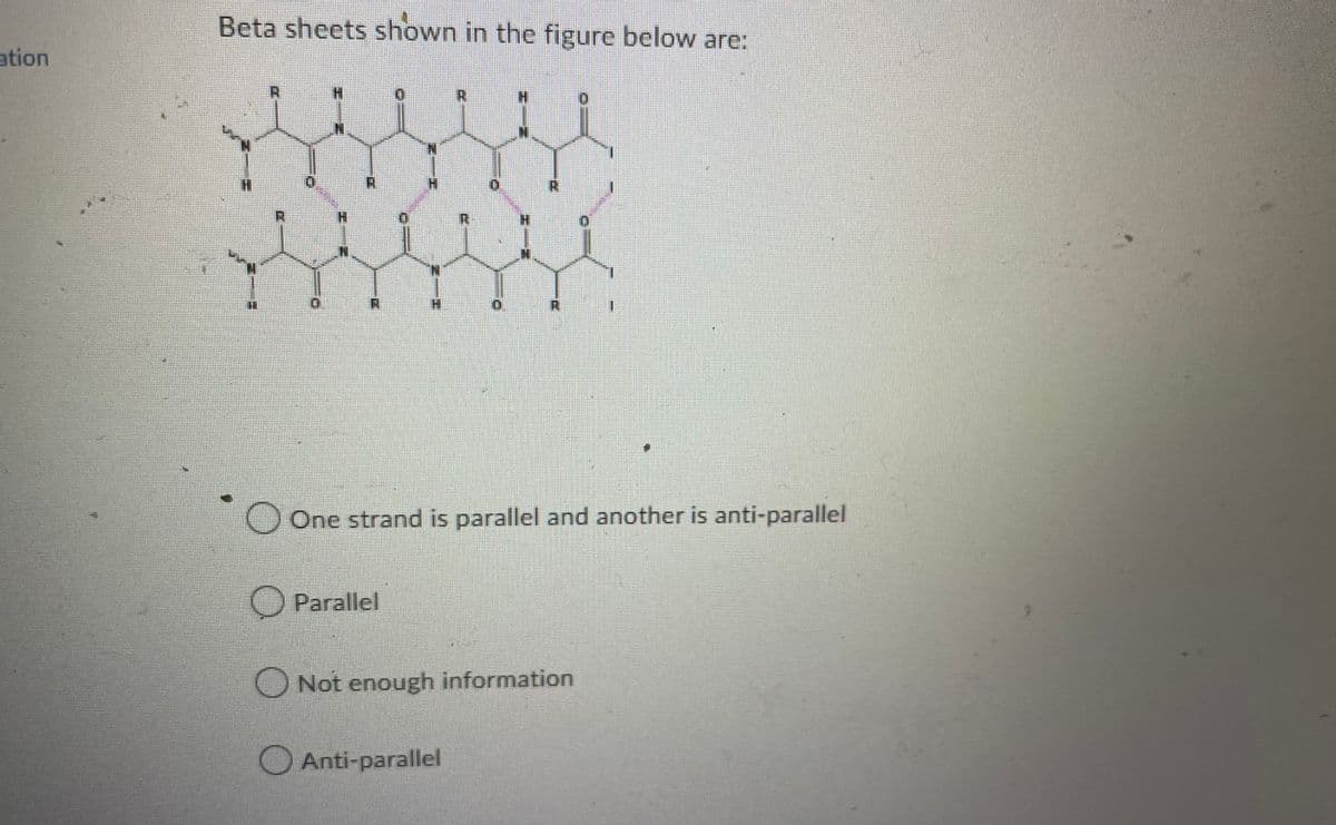 ation
Beta sheets shown in the figure below are:
H
O One strand is parallel and another is anti-parallel
Parallel
[1
Not enough information
Anti-parallel