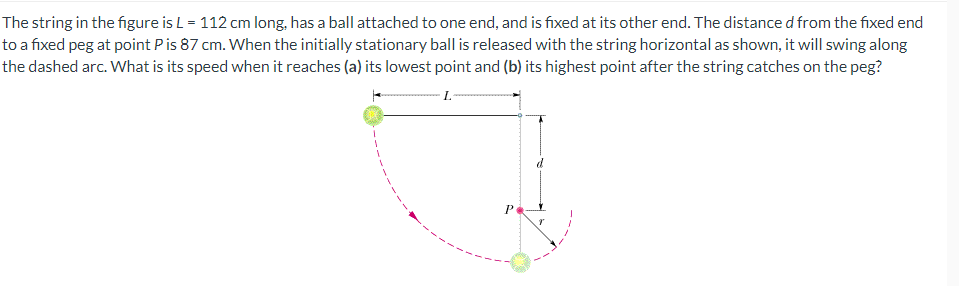 The string in the figure is L = 112 cm long, has a ball attached to one end, and is fixed at its other end. The distance d from the fixed end
to a fixed peg at point P is 87 cm. When the initially stationary ball is released with the string horizontal as shown, it will swing along
the dashed arc. What is its speed when it reaches (a) its lowest point and (b) its highest point after the string catches on the peg?
L