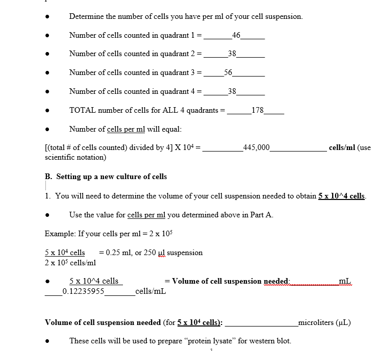 Determine the number of cells you have per ml of your cell suspension.
Number of cells counted in quadrant 1 =
46
Number of cells counted in quadrant 2 =
38
Number of cells counted in quadrant 3 =
56
Number of cells counted in quadrant 4 =
38
TOTAL number of cells for ALL 4 quadrants =
178
Number of cells per ml will equal:
[(total # of cells counted) divided by 4] X 104 =,
scientific notation)
_445,000_
cells/ml (use
B. Setting up a new culture of cells
1. You will need to determine the volume of your cell suspension needed to obtain 5 x 10^4 cells.
Use the value for cells per ml you determined above in Part A.
Example: If your cells per ml = 2 x 105
5 x 104 cells
= 0.25 ml, or 250 ul suspension
2 x 105 cells/ml
5 x 10^4 cells
0.12235955
= Volume of cell suspension needed:
mL
cells/mL
Volume of cell suspension needed (for 5 x 104 cells):
_microliters (uL)
These cells will be used to prepare "protein lysate" for western blot.
