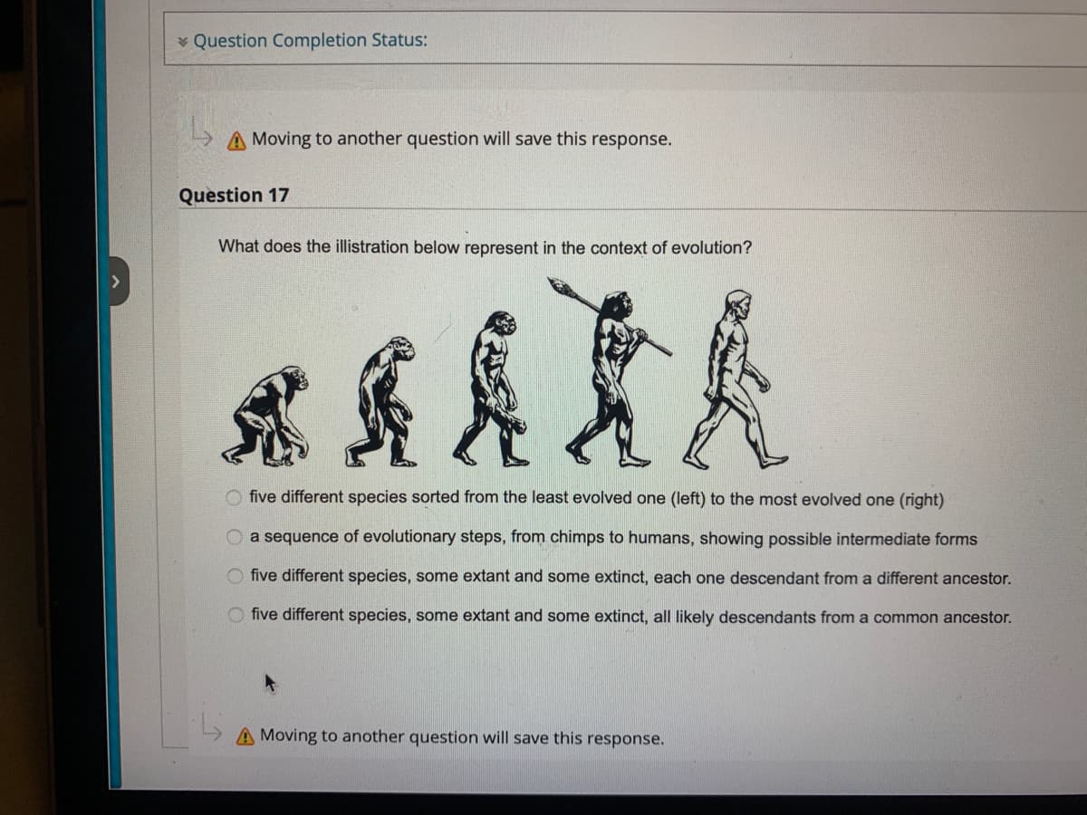 Question Completion Status:
A Moving to another question will save this response.
Question 17
What does the illistration below represent in the context of evolution?
esitl
five different species sorted from the least evolved one (left) to the most evolved one (right)
a sequence of evolutionary steps, from chimps to humans, showing possible intermediate forms
five different species, some extant and some extinct, each one descendant from a different ancestor.
Ofive different species, some extant and some extinct, all likely descendants from a common ancestor.
A Moving to another question will save this response.