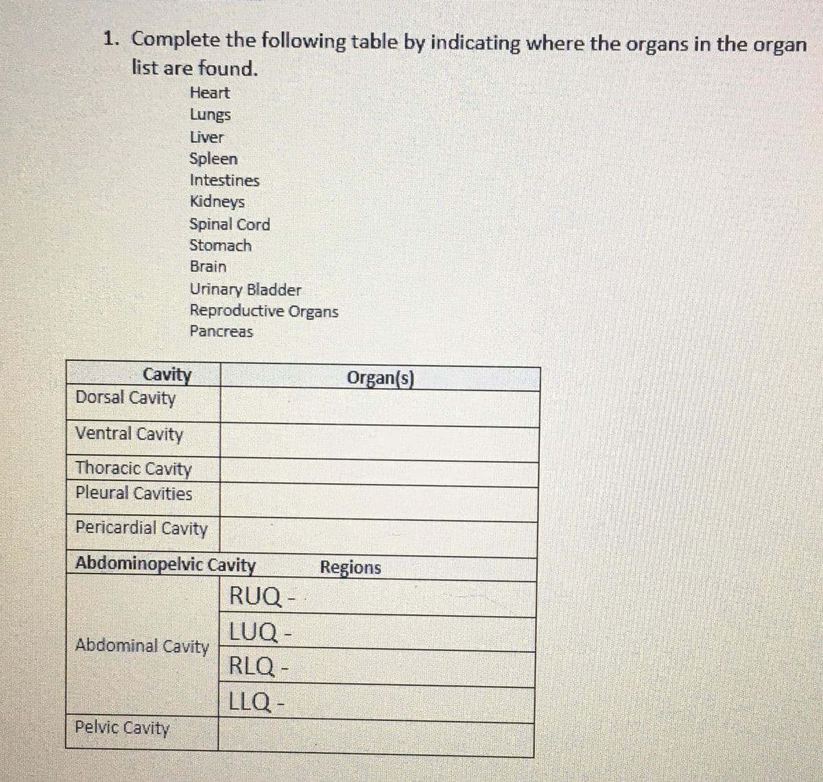 1. Complete the following table by indicating where the organs in the organ
list are found.
Heart
Lungs
Liver
Spleen
Intestines
Kidneys
Spinal Cord
Stomach
Brain
Urinary Bladder
Reproductive Organs
Pancreas
Cavity
Dorsal Cavity
Ventral Cavity
Thoracic Cavity
Pleural Cavities
Pericardial Cavity
Pelvic Cavity
Abdominopelvic Cavity
Abdominal Cavity
RUQ -
LUQ -
RLQ-
LLQ-
Organ(s)
Regions