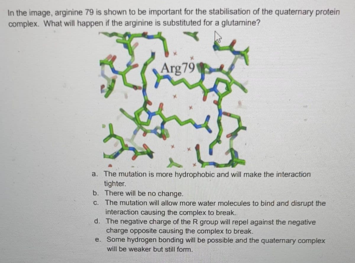 In the image, arginine 79 is shown to be important for the stabilisation of the quaternary protein
complex. What will happen if the arginine is substituted for a glutamine?
Arg79
3
up
a.
The mutation is more hydrophobic and will make the interaction
tighter.
b. There will be no change.
c. The mutation will allow more water molecules to bind and disrupt the
interaction causing the complex to break.
d.
The negative charge of the R group will repel against the negative
charge opposite causing the complex to break.
e. Some hydrogen bonding will be possible and the quaternary complex
will be weaker but still form.