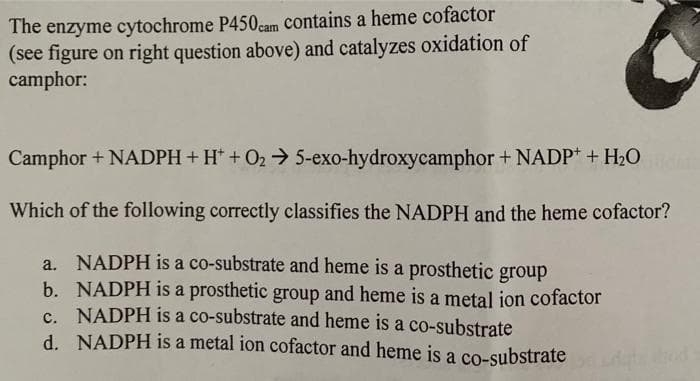 The enzyme cytochrome P450cam contains a heme cofactor
(see figure on right question above) and catalyzes oxidation of
camphor:
Camphor + NADPH + H+ + O₂ → 5-exo-hydroxycamphor + NADP+ + H₂O Belin
Which of the following correctly classifies the NADPH and the heme cofactor?
a. NADPH is a co-substrate and heme is a prosthetic group
b. NADPH is a prosthetic group and heme is a metal ion cofactor
c. NADPH is a co-substrate and heme is a co-substrate
d.
NADPH is a metal ion cofactor and heme is a co-substrate