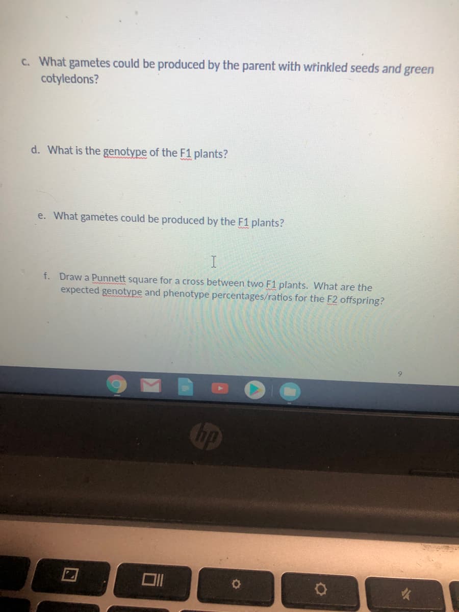C. What gametes could be produced by the parent with wrinkled seeds and green
cotyledons?
d. What is the genotype of the F1 plants?
e. What gametes could be produced by the F1 plants?
f. Draw a Punnett square for a cross between two F1 plants. What are the
expected genotype and phenotype percentages/ratios for the F2 offspring?
