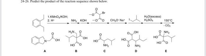 24-26. Predict the product of the reaction sequence shown below.
Br
1.KMNO, KOH;
o CH,O Na
H,O(excess)
H;SO,
NH, кон
150°C
2. H*
- co,
H.N.
OH
O NH2
HO,
HO
HO,
но.
но
NH,
но
но
NH2
A
B
D
E

