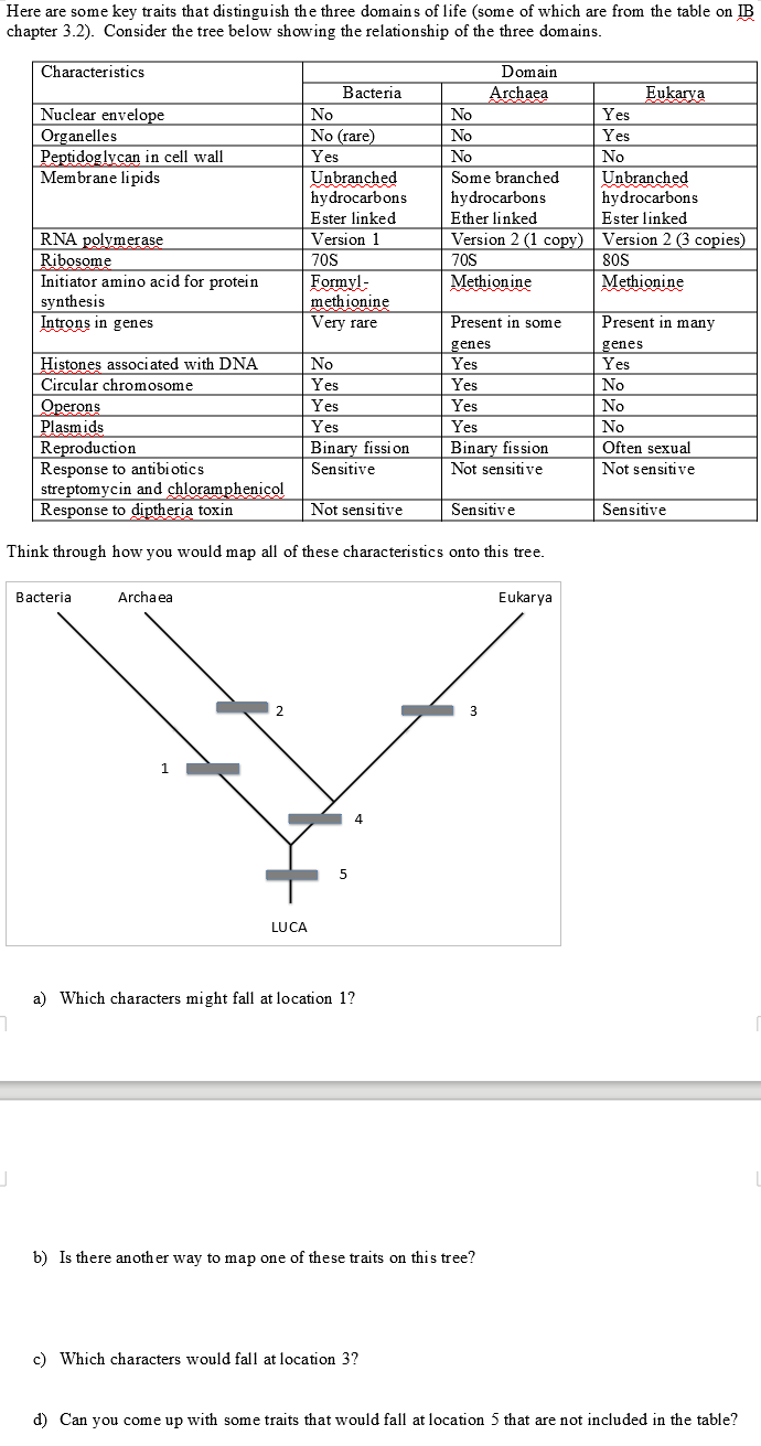 Here are some key traits that distinguish the three domains of life (some of which are from the table on IB
chapter 3.2). Consider the tree below showing the relationship of the three domains.
7
Characteristics
J
Nuclear envelope
Organelles
Peptidoglycan in cell wall
Membrane lipids
RNA polymerase
Ribosome
Initiator amino acid for protein
synthesis
Introns in genes
Histones associated with DNA
Circular chromosome
Operons
Plasmids
Bacterial
Archaea
1
2
Bacteria
LUCA
No
No (rare)
Yes
Unbranched
hydrocarbons
Ester linked
Version 1
70S
Formyl-
methionine
Very rare
Reproduction
Response to antibiotics
streptomycin and chloramphenicol
Response to diptheria toxin
Think through how you would map all of these characteristics onto this tree.
No
Yes
Yes
Yes
Binary fission
Sensitive
Not sensitive
5
a) Which characters might fall at location 1?
No
No
No
Some branched
c) Which characters would fall at location 3?
Domain
Archaea
hydrocarbons.
Ether linked
Version 2 (1 copy)
70S
Methionine
Present in some
genes
Yes
Yes
Yes
Yes
Binary fission
Not sensitive
Sensitive
3
b) Is there another way to map one of these traits on this tree?
Eukarya
Yes
Yes
No
Eukarya
Unbranched
hydrocarbons
Ester linked
Version 2 (3 copies)
80S
Methionine
Present in many
genes
Yes
No
No
No
Often sexual
Not sensitive
Sensitive
d) Can you come up with some traits that would fall at location 5 that are not included in the table?