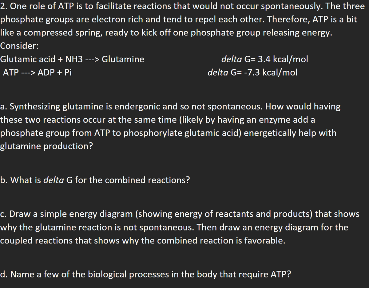 2. One role of ATP is to facilitate reactions that would not occur spontaneously. The three
phosphate groups are electron rich and tend to repel each other. Therefore, ATP is a bit
like a compressed spring, ready to kick off one phosphate group releasing energy.
Consider:
Glutamic acid + NH3 ---> Glutamine
ATP ---> ADP + Pi
delta G= 3.4 kcal/mol
delta G= -7.3 kcal/mol
a. Synthesizing glutamine is endergonic and so not spontaneous. How would having
these two reactions occur at the same time (likely by having an enzyme add a
phosphate group from ATP to phosphorylate glutamic acid) energetically help with
glutamine production?
b. What is delta G for the combined reactions?
c. Draw a simple energy diagram (showing energy of reactants and products) that shows
why the glutamine reaction is not spontaneous. Then draw an energy diagram for the
coupled reactions that shows why the combined reaction is favorable.
d. Name a few of the biological processes in the body that require ATP?