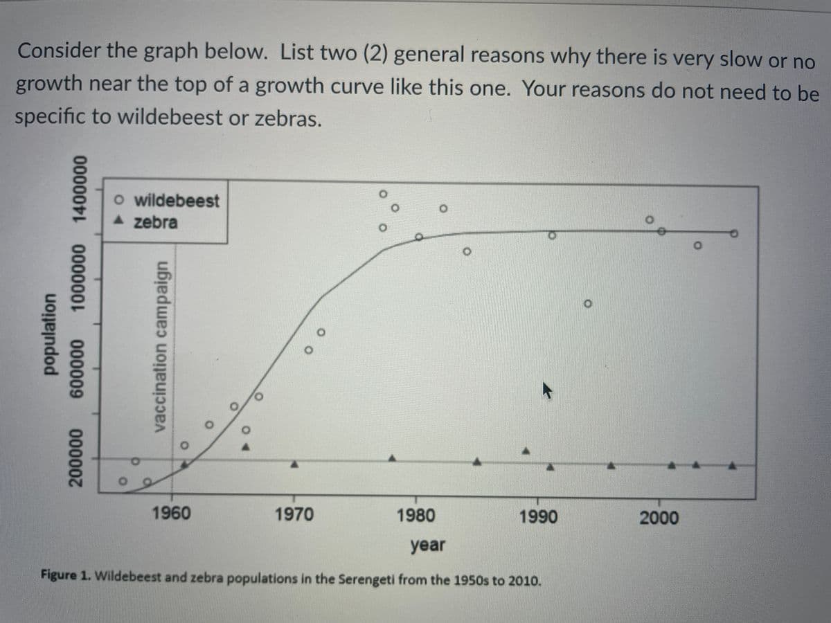 Consider the graph below. List two (2) general reasons why there is very slow or no
growth near the top of a growth curve like this one. Your reasons do not need to be
specific to wildebeest or zebras.
o wildebeest
A zebra
1960
1970
1980
1990
2000
year
Figure 1. Wildebeest and zebra populations in the Serengeti from the 1950s to 20o10.
vaccination campaign
0o 0000 000000
000009
00000
population
