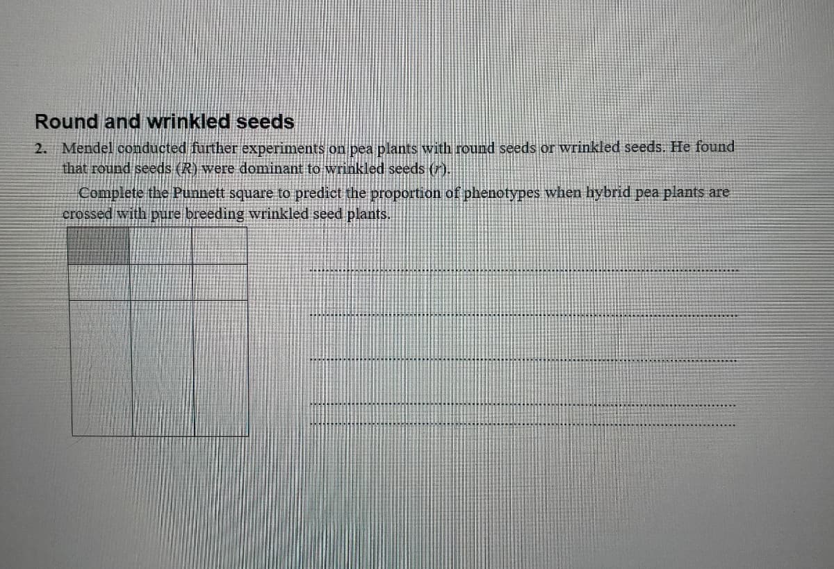 Round and wrinkled seeds
2. Mendel conducted further experiments on pea plants with round seeds or wrinkled seeds. He found
that round seeds (R) were dominant to wrinkled seeds ().
Complete the Punnett square to predict the proportion of phenotypes when hybrid pea plants are
crossed with pure breeding wrinkled seed plants.
