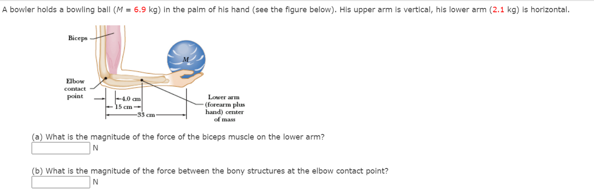 A bowler holds a bowling ball (M = 6.9 kg) in the palm of his hand (see the figure below). His upper arm is vertical, his lower arm (2.1 kg) is horizontal.
Biceps
Elbow
contact
point
Lower arm
(forearm plus
hand) center
+4.0 am
15 cm -
-33 cm-
of mass
(a) What is the magnitude of the force of the biceps muscle on the lower arm?
N
(b) What is the magnitude of the force between the bony structures at the elbow contact point?
