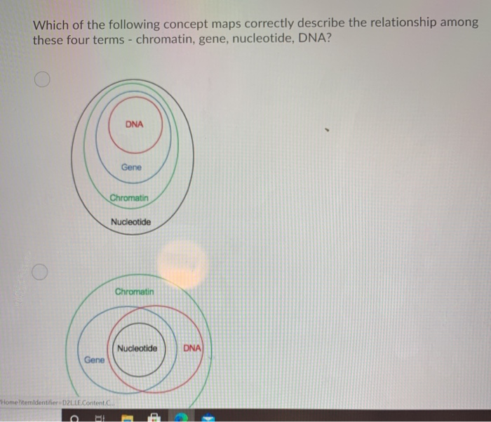 Which of the following concept maps correctly describe the relationship among
these four terms - chromatin, gene, nucleotide, DNA?
Gene
D
I
DNA
"Home?itemIdentifier-D2LLE.Content.C...
Gene
Chromatin
Nucleotide
Chromatin
Nucleotide
10
DNA