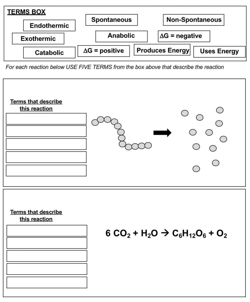 TERMS BOX
Endothermic
Exothermic
Catabolic
Terms that describe
this reaction
Spontaneous
Terms that describe
this reaction
Anabolic
AG = positive
Non-Spontaneous
For each reaction below USE FIVE TERMS from the box above that describe the reaction
AG = negative
Produces Energy Uses Energy
6 CO₂ + H₂O → C6H12O6 + O₂