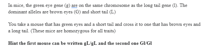 In mice, the green eye gene (g) are on the same chromosome as the long tail gene (1). The
dominant alleles are brown eyes (G) and short tail (L)
You take a mouse that has green eyes and a short tail and cross it to one that has brown eyes and
a long tail. (These mice are homozygous for all traits)
Hint the first mouse can be written gl/gL and the second one GI/GI