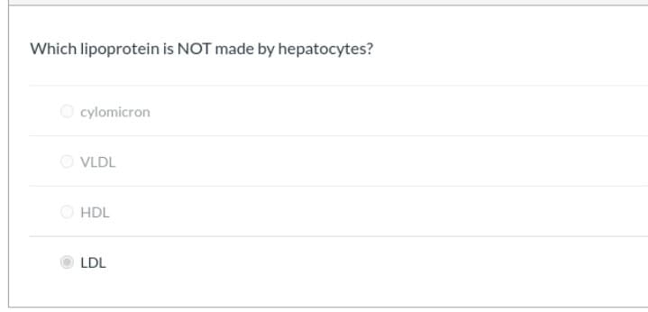 Which lipoprotein is NOT made by hepatocytes?
O cylomicron
O VLDL
O HDL
LDL
