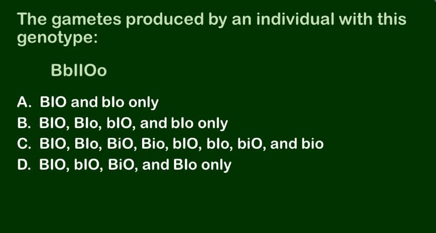 The gametes produced by an individual with this
genotype:
BbllOo
A. BIO and blo only
B. BIO, Blo, blO, and blo only
C. BIO, Blo, BiO, Bio, blO, blo, biO, and bio
D. BIO, blo, BiO, and Blo only
