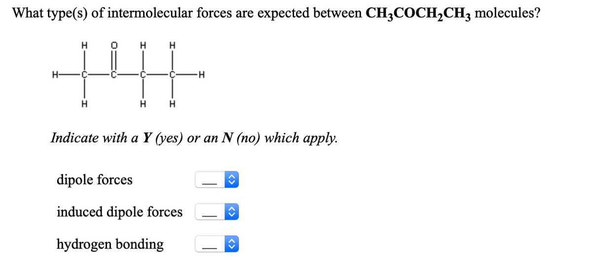 What type(s) of intermolecular forces are expected between CH3COCH2CH3 molecules?
H
H-
C.
H-
H
Indicate with a Y (yes) or an N (no) which apply.
dipole forces
induced dipole forces
hydrogen bonding
