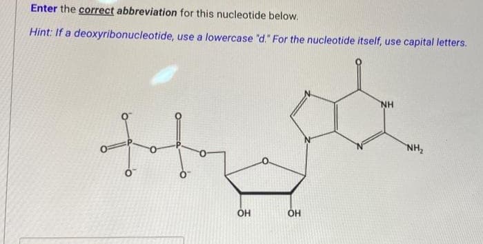 Enter the correct abbreviation for this nucleotide below.
Hint: If a deoxyribonucleotide, use a lowercase "d." For the nucleotide itself, use capital letters.
H
OH
OH
NH
NH₂