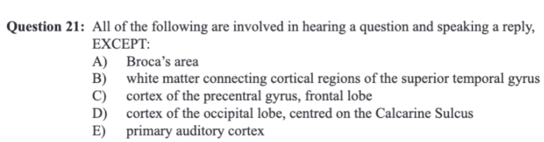 Question 21: All of the following are involved in hearing a question and speaking a reply,
EXCEPT:
A) Broca's area
B)
white matter connecting cortical regions of the superior temporal gyrus
C)
cortex of the precentral gyrus, frontal lobe
D)
cortex of the occipital lobe, centred on the Calcarine Sulcus
E) primary auditory cortex
