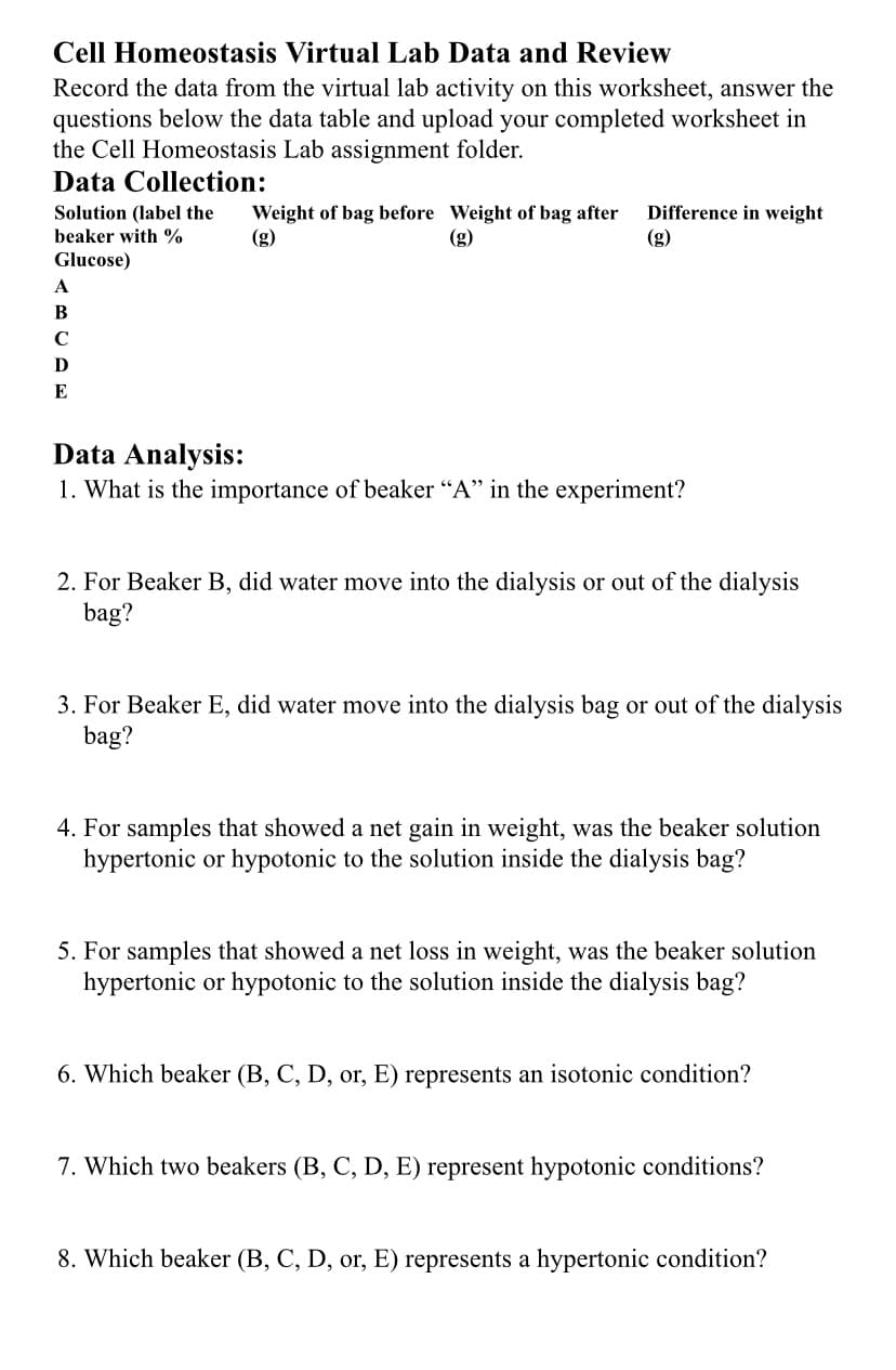 Cell Homeostasis Virtual Lab Data and Review
Record the data from the virtual lab activity on this worksheet, answer the
questions below the data table and upload your completed worksheet in
the Cell Homeostasis Lab assignment folder.
Data Collection:
Solution (label the
beaker with %
Glucose)
A
B
с
D
E
Weight of bag before Weight of bag after
(g)
Difference in weight
(g)
Data Analysis:
1. What is the importance of beaker "A" in the experiment?
2. For Beaker B, did water move into the dialysis or out of the dialysis
bag?
3. For Beaker E, did water move into the dialysis bag or out of the dialysis
bag?
4. For samples that showed a net gain in weight, was the beaker solution
hypertonic or hypotonic to the solution inside the dialysis bag?
5. For samples that showed a net loss in weight, was the beaker solution
hypertonic or hypotonic to the solution inside the dialysis bag?
6. Which beaker (B, C, D, or, E) represents an isotonic condition?
7. Which two beakers (B, C, D, E) represent hypotonic conditions?
8. Which beaker (B, C, D, or, E) represents a hypertonic condition?