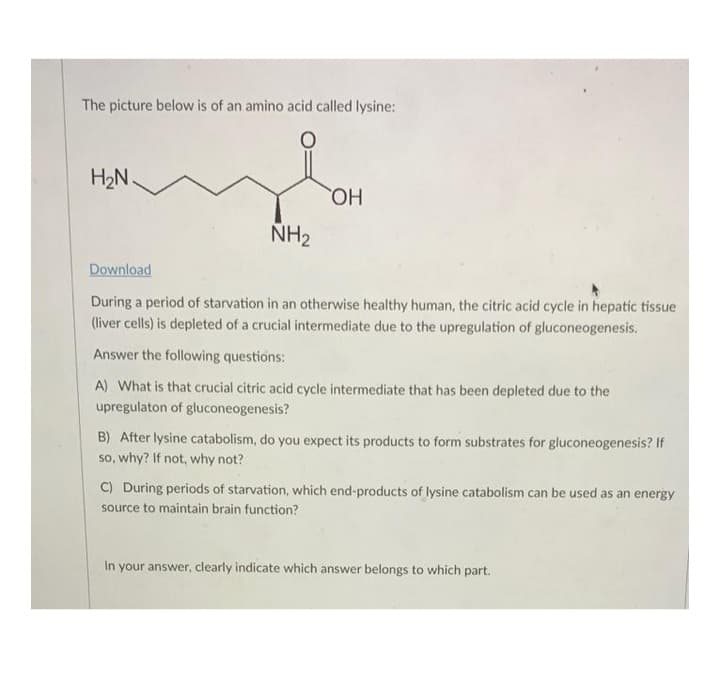 The picture below is of an amino acid called lysine:
H₂N.
NH₂
OH
Download
During a period of starvation in an otherwise healthy human, the citric acid cycle in hepatic tissue
(liver cells) is depleted of a crucial intermediate due to the upregulation of gluconeogenesis.
Answer the following questions:
A) What is that crucial citric acid cycle intermediate that has been depleted due to the
upregulaton of gluconeogenesis?
B) After lysine catabolism, do you expect its products to form substrates for gluconeogenesis? If
so, why? If not, why not?
C) During periods of starvation, which end-products of lysine catabolism can be used as an energy
source to maintain brain function?
In your answer, clearly indicate which answer belongs to which part.