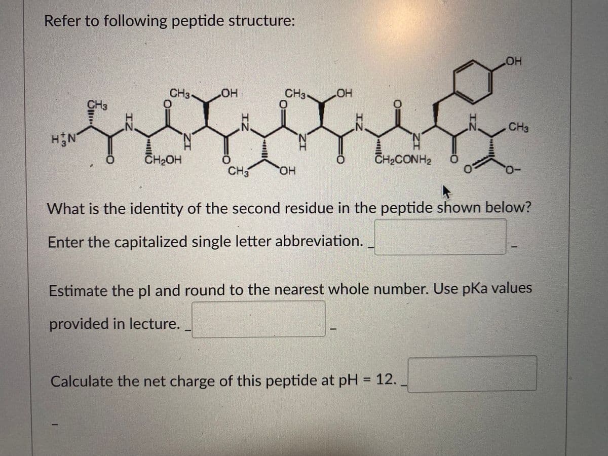 Refer to following peptide structure:
H&N
CH3
IZ
CH3-
CH₂OH
IZ
OH
ZI
CH3
CH3.
OH
IZ
OH
IZ
CH2 CONH2
parce
0
IZ
Calculate the net charge of this peptide at pH = 12.
OH
CH3
What is the identity of the second residue in the peptide shown below?
Enter the capitalized single letter abbreviation.
0-
Estimate the pl and round to the nearest whole number. Use pKa values
provided in lecture.