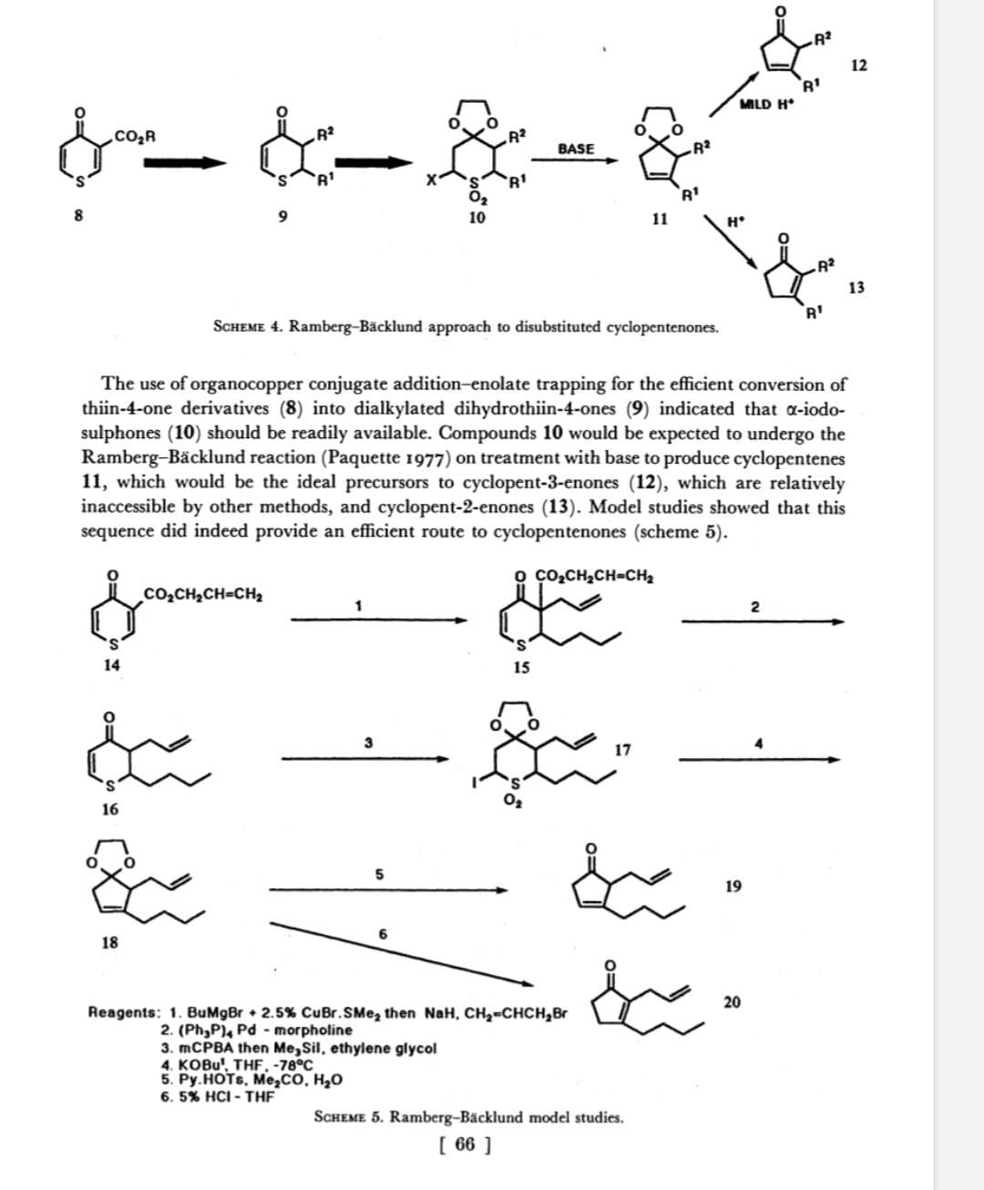 R
12
MILD H*
.CO,R
R2
BASE
R2
10
11
13
R'
SCHEME 4. Ramberg-Bäcklund approach to disubstituted cyclopentenones.
The use of organocopper conjugate addition-enolate trapping for the efficient conversion of
thiin-4-one derivatives (8) into dialkylated dihydrothiin-4-ones (9) indicated that a-iodo-
sulphones (10) should be readily available. Compounds 10 would be expected to undergo the
Ramberg-Bäcklund reaction (Paquette 1977) on treatment with base to produce cyclopentenes
11, which would be the ideal precursors to cyclopent-3-enones (12), which are relatively
inaccessible by other methods, and cyclopent-2-enones (13). Model studies showed that this
sequence did indeed provide an efficient route to cyclopentenones (scheme 5).
o co2CH2CH-CH2
Co,CH2CH=CH2
2
S.
14
15
3
17
16
5
19
18
20
Reagents: 1. BuMgBr 2.5% CuBr.SMe, then NaH, CH2-CHCH,Br
2. (Ph,P), Pd - morpholine
3. MCPBA then Me, Sil, ethylene glycol
4. KOBU', THF, -78°C
5. Py.HOTS, Me,cO, H2O
6. 5% HCI - THF
SCHEME 5. Ramberg-Bäcklund model studies.
[ 66 ]
