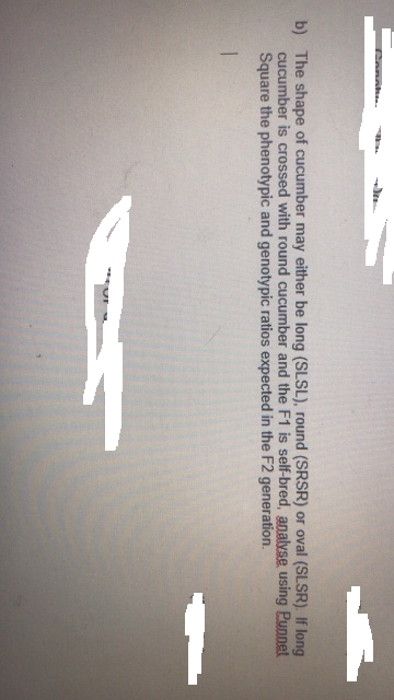 Conat.
b) The shape of cucumber may either be long (SLSL), round (SRSR) or oval (SLSR). If long
cucumber is crossed with round cucumber and the F1 is self-bred, analyse using Punnet
Square the phenotypic and genotypic ratios expected in the F2 generation.
