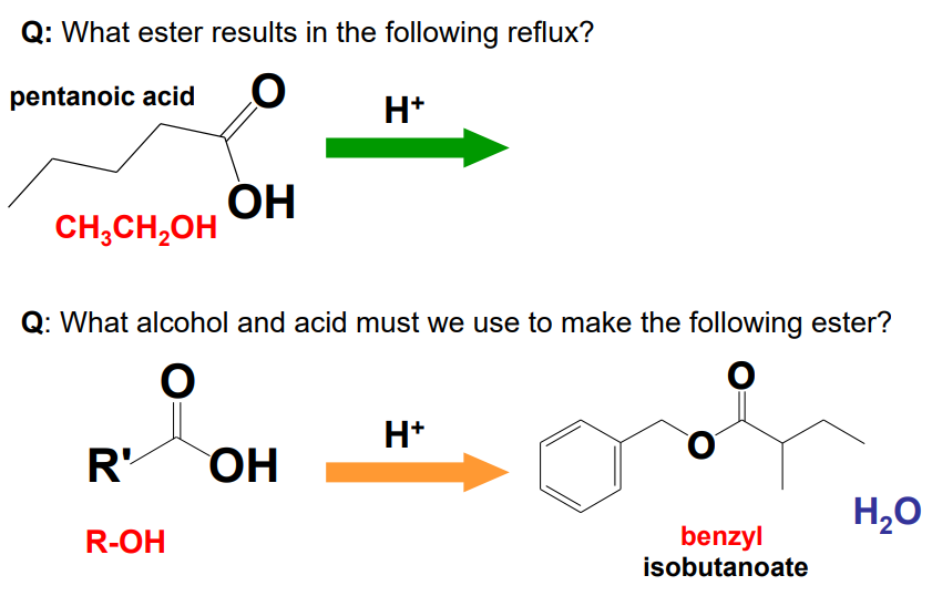 Q: What ester results in the following reflux?
pentanoic acid
CH₂CH₂OH
OH
R'
R-OH
Q: What alcohol and acid must we use to make the following ester?
O
O
H+
OH
H+
benzyl
isobutanoate
H₂O