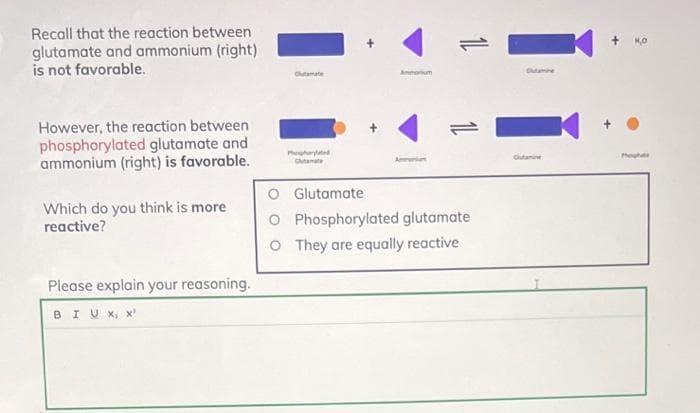 Recall that the reaction between
glutamate and ammonium (right)
is not favorable.
However, the reaction between
phosphorylated glutamate and
ammonium (right) is favorable.
Which do you think is more
reactive?
Please explain your reasoning.
BIUX, X¹
Perated
Clutamate
O Glutamate
11
P
Phosphorylated glutamate
O They are equally reactive
Outamine
Outanie
hate