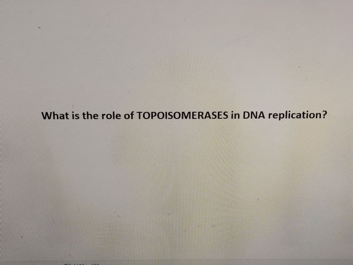 What is the role of TOPOISOMERASES in DNA replication?
