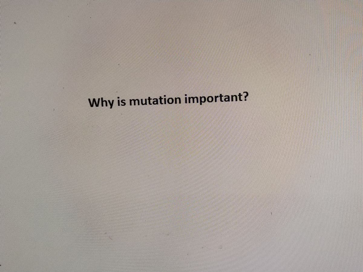 Why is mutation important?
