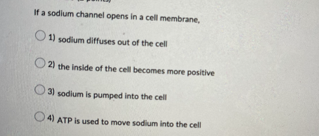 If a sodium channel opens in a cell membrane,
1) sodium diffuses out of the cell
2) the inside of the cell becomes more positive
3) sodium is pumped into the cell
4) ATP is used to move sodium into the cell