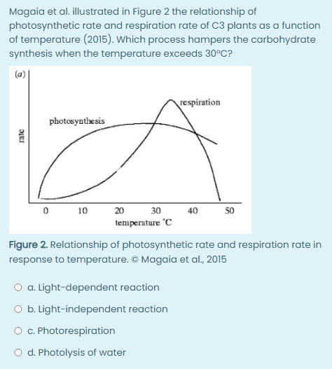 Magaia et al. illustrated in Figure 2 the relationship of
photosynthetic
of temperature
rate and respiration rate of C3 plants as a function
(2015). Which process hampers the carbohydrate
synthesis when the temperature exceeds 30°C?
respiration
photosynthesis
0 10
40 50
20 30
temperature C
Figure 2. Relationship of photosynthetic rate and respiration rate in
response to temperature. Ⓒ Magaia et al., 2015
O a. Light-dependent reaction
O b. Light-independent reaction
O c. Photorespiration
O d. Photolysis of water
rate