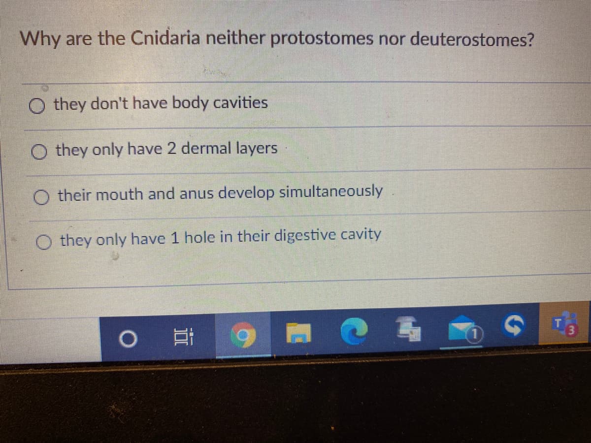 Why are the Cnidaria neither protostomes nor deuterostomes?
O they don't have body cavities
O they only have 2 dermal layers
O their mouth and anus develop simultaneously
they only have 1 hole in their digestive cavity
O
