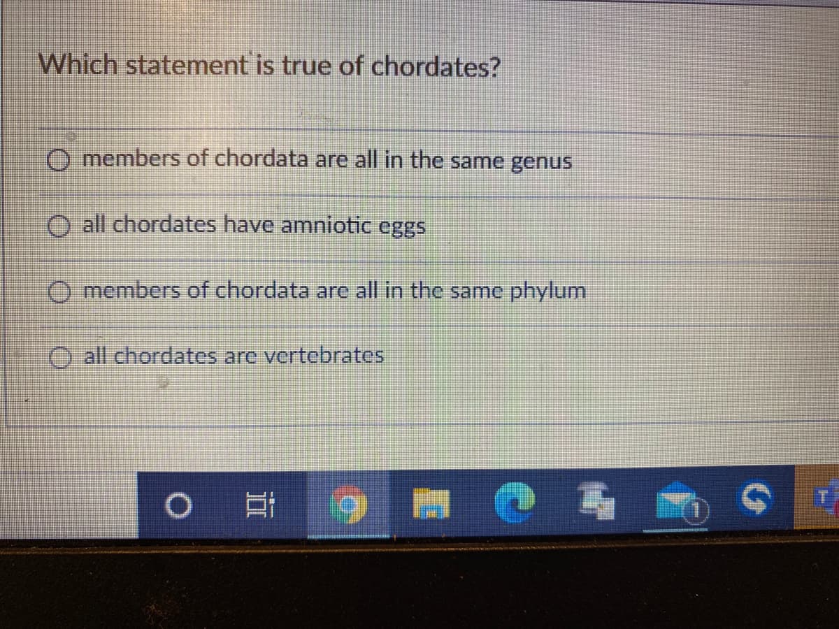 Which statement is true of chordates?
O members of chordata are all in the same genus
O all chordates have amniotic eggs
O members of chordata are all in the same phylum
O all chordates are vertcbrates
