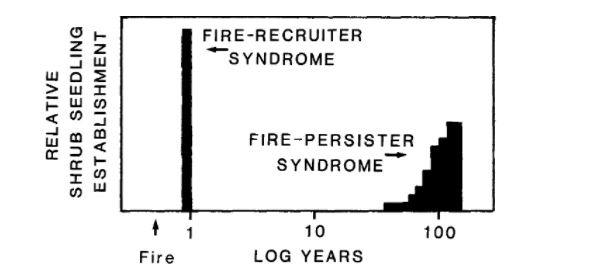 FIRE-RECRUITER
SYNDROME
FIRE-PERSISTER
SYNDROME
10
100
Fire
LOG YEARS
RELATIVE
SHRUB SEEDLING
ESTABLISHMENT
