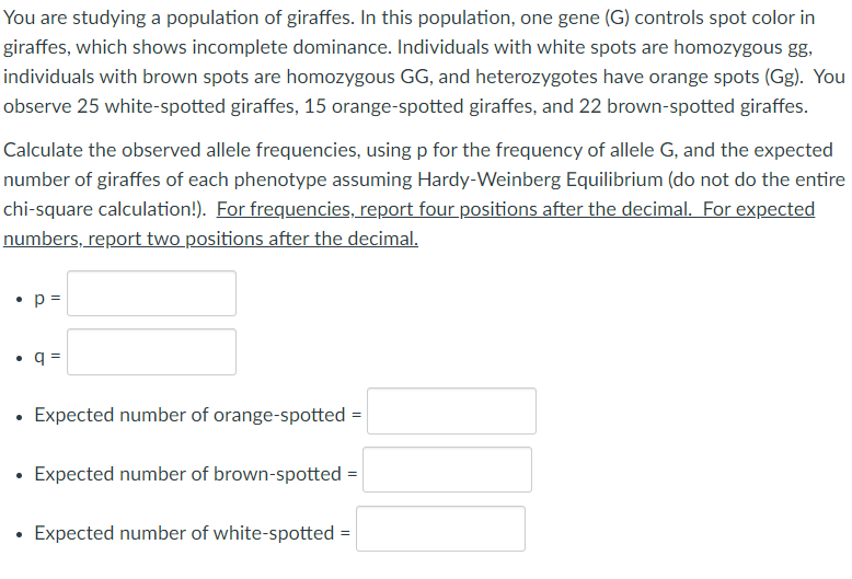 You are studying a population of giraffes. In this population, one gene (G) controls spot color in
giraffes, which shows incomplete dominance. Individuals with white spots are homozygous gg,
individuals with brown spots are homozygous GG, and heterozygotes have orange spots (Gg). You
observe 25 white-spotted giraffes, 15 orange-spotted giraffes, and 22 brown-spotted giraffes.
Calculate the observed allele frequencies, using p for the frequency of allele G, and the expected
number of giraffes of each phenotype assuming Hardy-Weinberg Equilibrium (do not do the entire
chi-square calculation!). For frequencies, report four positions after the decimal. For expected
numbers, report two positions after the decimal.
• p=
• q =
• Expected number of orange-spotted =
• Expected number of brown-spotted =
Expected number of white-spotted
=