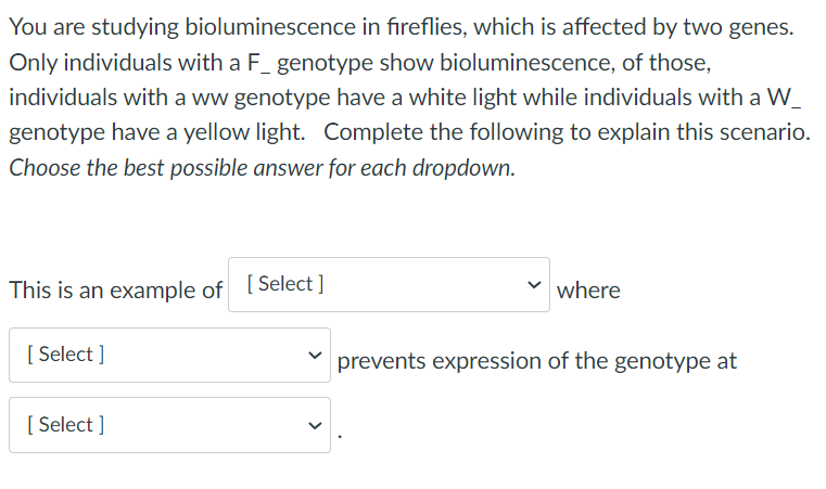 You are studying bioluminescence in fireflies, which is affected by two genes.
Only individuals with a F_ genotype show bioluminescence, of those,
individuals with a ww genotype have a white light while individuals with a W_
genotype have a yellow light. Complete the following to explain this scenario.
Choose the best possible answer for each dropdown.
This is an example of [Select]
[Select]
[Select]
where
prevents expression of the genotype at
