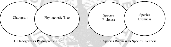 Species
Species
Cladogram
Phylogenetic Tree
Richness
Evenness
I. Cladogram vs Phylogenetic Tree
ILSpecies Richness vs Species Evenness
