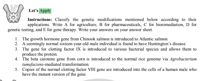 Let's Apply
Instructions: Classify the genetic modifications mentioned below according to their
applications. Write A for agriculture, B for pharmaceuticals, C for bioremediation, D for
genetic testing, and E for gene therapy. Write your answers on your answer sheet.
1. The growth hormone gene from Chinook salmon is introduced to Atlantic salmon.
2. A seemingly normal sixteen-year-old male individual is found to have Huntington's disease.
3. The gene for clotting factor IX is introduced to various bacterial species and allows them to
produce the protein.
4. The beta carotene gene from corn is introduced to the normal rice genome via Agrobacterium
tumefaciens-mediated transformation.
5. Copies of the normal clotting factor VIII gene are introduced into the cells of a human male who
have the mutant version of the gene.
