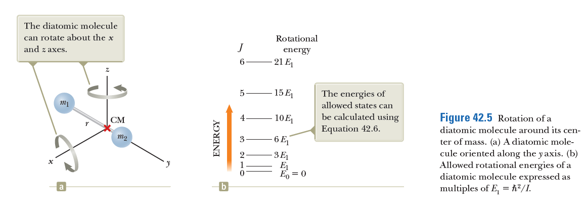 The diatomic molecule
can rotate about the x
and z axes.
Rotational
J
energy
6
- 21 E
15 E
The energies of
allowed states can
CM
4
10E
be calculated using
Figure 42.5 Rotation of a
Equation 42.6.
diatomic molecule around its cen-
- 6 Ej
ter of mass. (a) A diatomic mole-
cule oriented along the y axis. (b)
Allowed rotational energies of a
diatomic molecule expressed as
multiples of E, = h²/I.
3E
E
E, = 0
b
ENERGY
