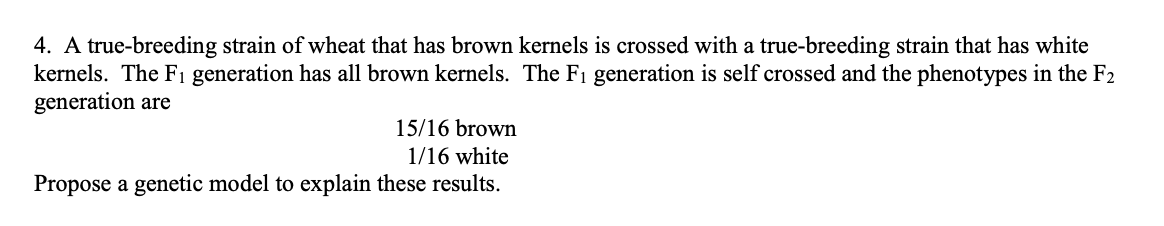 4. A true-breeding strain of wheat that has brown kernels is crossed with a true-breeding strain that has white
kernels. The F₁ generation has all brown kernels. The F₁ generation is self crossed and the phenotypes in the F2
generation are
15/16 brown
1/16 white
Propose a genetic model to explain these results.