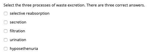 Select the three processes of waste excretion. There are three correct answers.
selective reabsorption
secretion
filtration
urination
hyposethenuria
