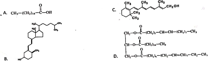 A. CH-(CH3)1u--ou
CH-0-Č-(CH,),n-CH,
ÇH3
CH2OH
C.
,A. CH,-(CH,)16¬Ĉ–OH
CH3
CH3
CH,-
(CH,h-CH=CH-(CH,),–CH,
CH-0-C-(CH;)-CH,
D.
ČH,-O-C-(CH,h-(CH,-CH=CH),-CH,-CH,
B.
