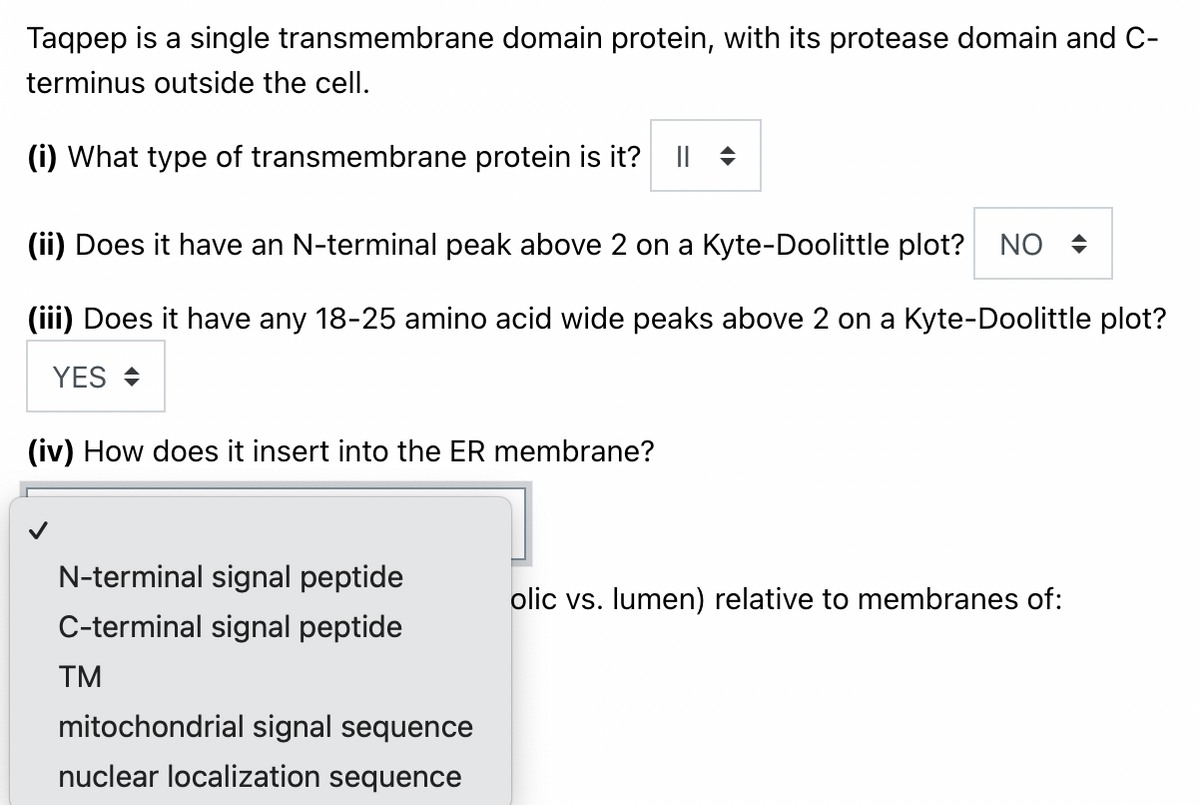 Taqpep is a single transmembrane domain protein, with its protease domain and C-
terminus outside the cell.
(i) What type of transmembrane protein is it?
(ii) Does it have an N-terminal peak above 2 on a Kyte-Doolittle plot? NO +
(iii) Does it have any 18-25 amino acid wide peaks above 2 on a Kyte-Doolittle plot?
YES +
(iv) How does it insert into the ER membrane?
N-terminal signal peptide
olic vs. lumen) relative to membranes of:
C-terminal signal peptide
TM
mitochondrial signal sequence
nuclear localization sequence
