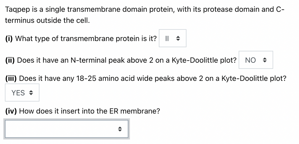 Taqpep is a single transmembrane domain protein, with its protease domain and C-
terminus outside the cell.
(i) What type of transmembrane protein is it?
(ii) Does it have an N-terminal peak above 2 on a Kyte-Doolittle plot? NO +
(iii) Does it have any 18-25 amino acid wide peaks above 2 on a Kyte-Doolittle plot?
YES +
(iv) How does it insert into the ER membrane?
