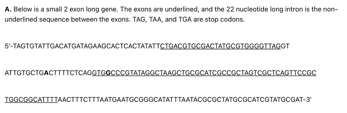 A. Below is a small 2 exon long gene. The exons are underlined, and the 22 nucleotide long intron is the non-
underlined sequence between the exons. TAG, TAA, and TGA are stop codons.
5'-TAGTGTATTGACATGATAGAAGCACTCACTATATTCTGACGTGCGACTATGCGTGGGGTTAGGT
ATTGTGCTGACTTTTCTCAGGTGGCCCGTATAGGCTAAGCTGCGCATCGCCGCTAGTCGCTCAGTTCCGC
TGGCGGCATTTTAACTTTCTTTAATGAATGCGGGCATATTTAATACGCGCTATGCGCATCGTATGCGAT-3'
